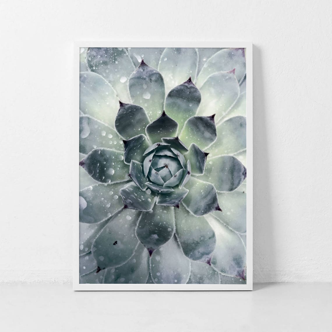Succulent Rosette Macro Photography Print for Plant Lovers Decor