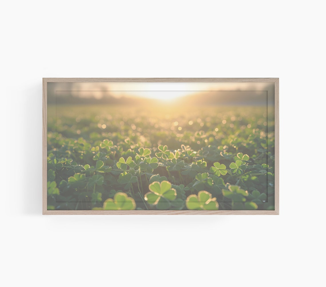 Dreamy Sunlit Clover Field Golden Hour Morning Nature Art Poster