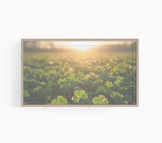 Field Of Clover Frame Tv Art Frame Tv Art Country Clovers Tv Art Cottagecore Frame Tv Art St Patricks Day