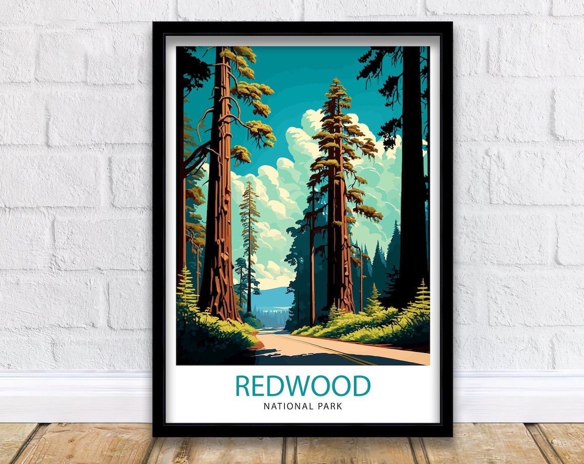 Redwood National Park Travel Poster, California Nature