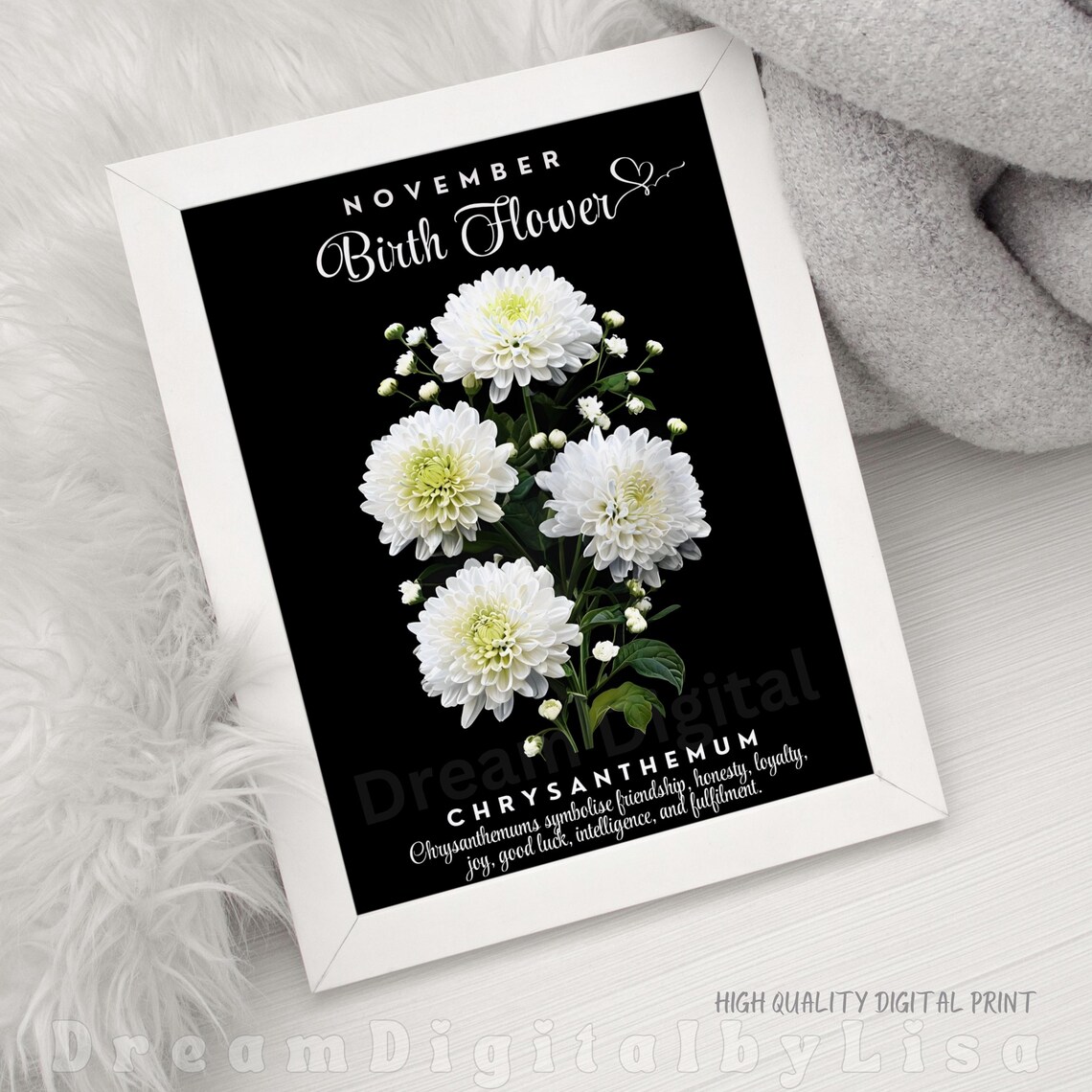 November Birth Flower Chrysanthemum Illustration - Image 2
