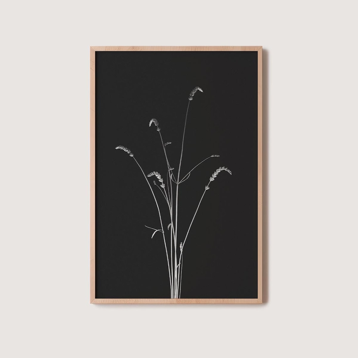 Dried Lavender Sprigs Black Background Minimalist Botanical Wall Art