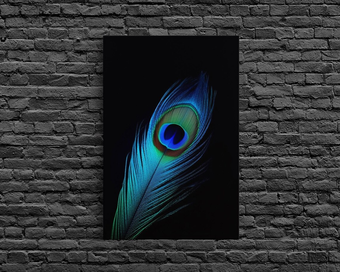 Lone Peacock Feather Art Print, Peacock Bird Study