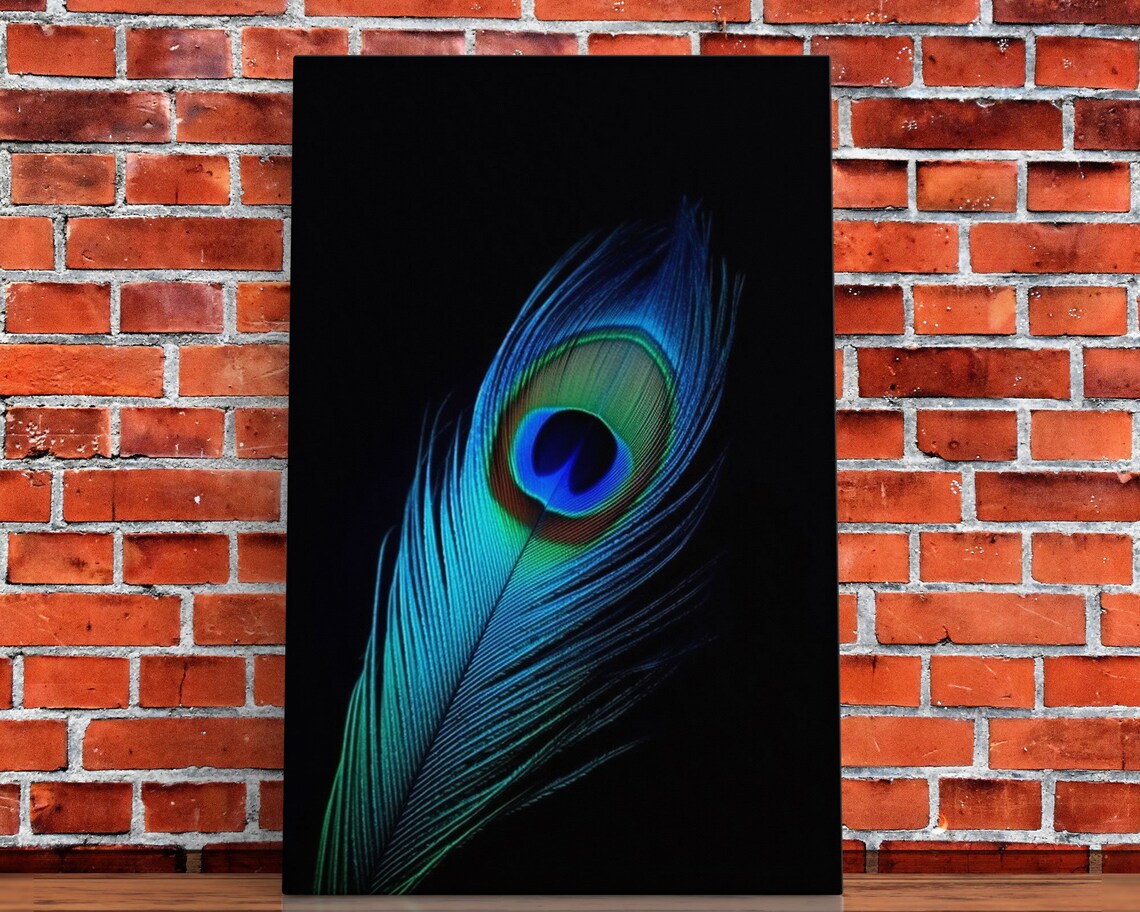 Lone Peacock Feather Art Print, Peacock Bird Study - Image 4