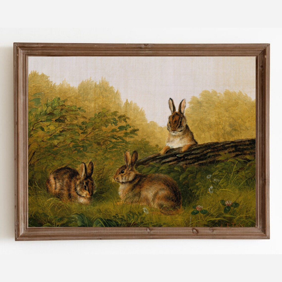Rabbit Vintage Art Print, Bunny Nursery Wall Art