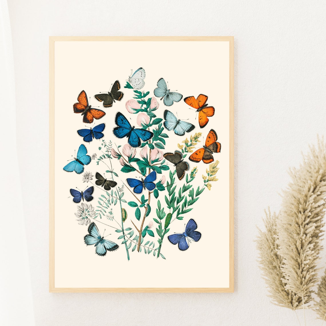 Vintage Butterfly Print Butterfly Illustration Antique Butterfly Botanical Print Butterfly Drawing Nursery Wall Art Art - Image 2