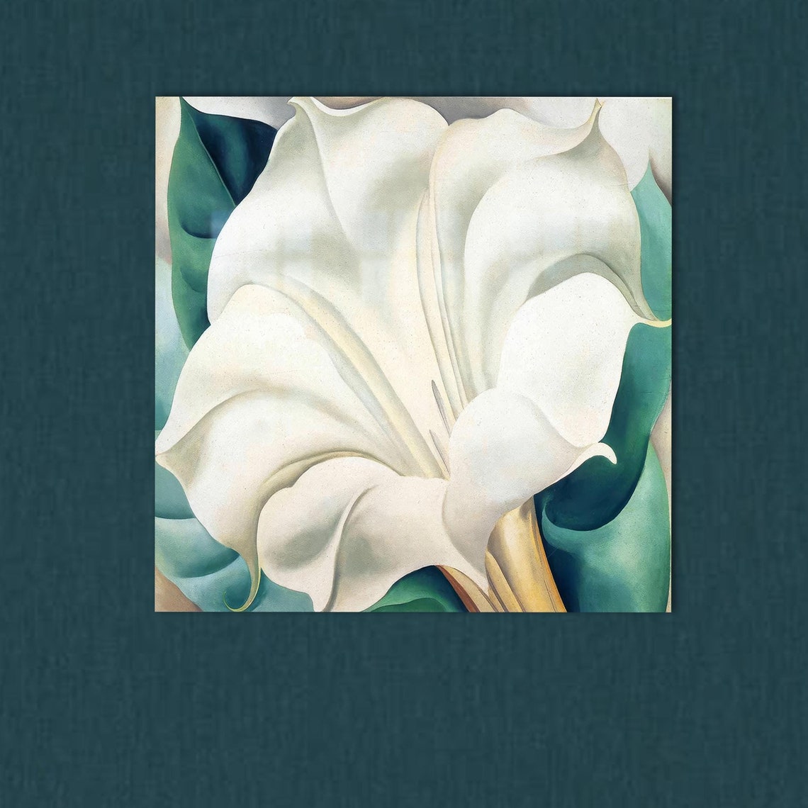 White Flower Bloom O Keeffe Style Elegant Botanical Art Poster