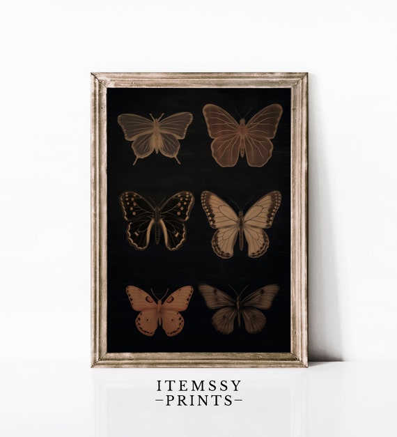 Vintage Black Butterfly Art Print Dark Butterfly Wall Art Elegant Home Decor Antique Inspired Butterfly Artwork
