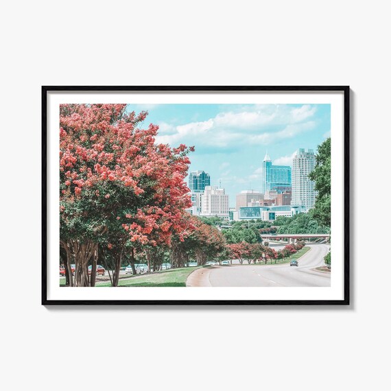 Raleigh North Carolina Skyline Blooming Trees City Photo Poster