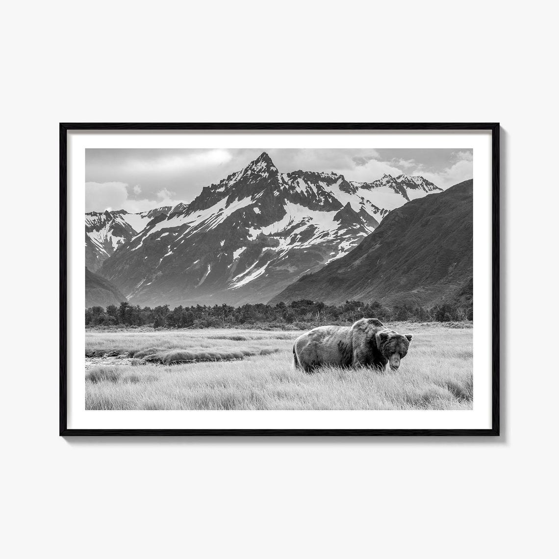 Alaska Bear Mountain Wildlife Black White Photography Art Poster