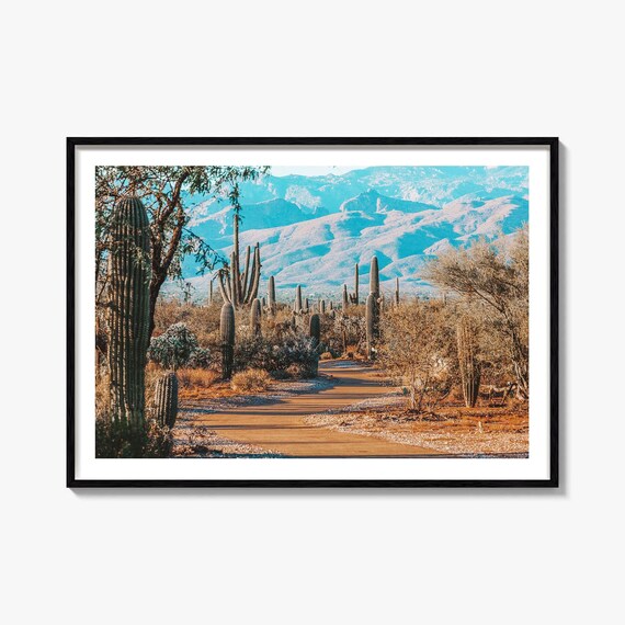 Saguaro National Park Desert Trail Cactus Sunset Arizona Photo Poster
