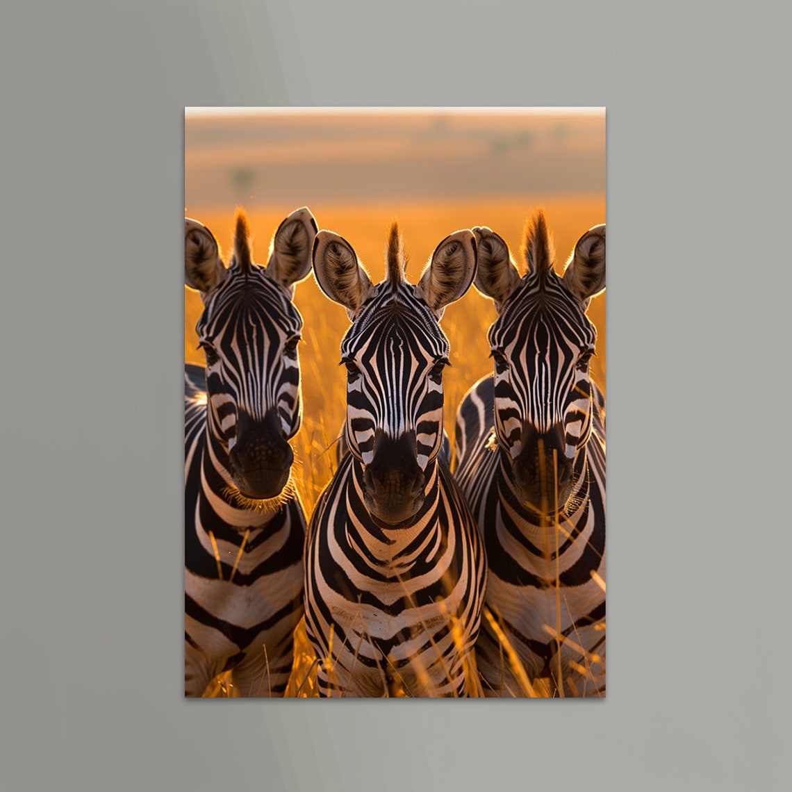 Three Zebras Facing Forward in Glowing Golden Savannah Light Poster - Image 3