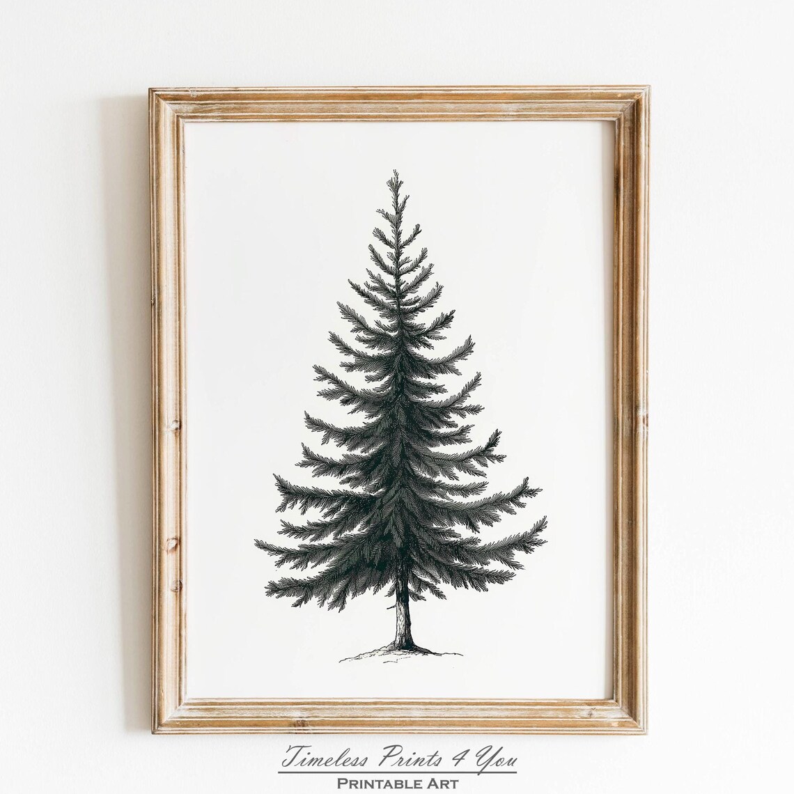 Black Pine Tree Botanical Sketch Minimalist Vintage Nature Poster