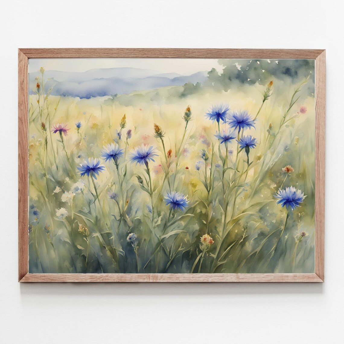 Blue Cornflower Wildflower Meadow Watercolor Floral Art Poster
