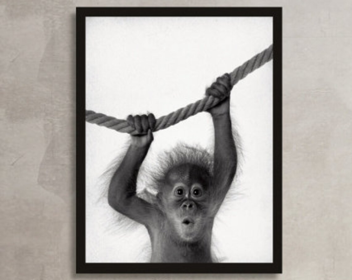 Baby Monkey Hanging Rope Black and White Cute Funny Animal Poster