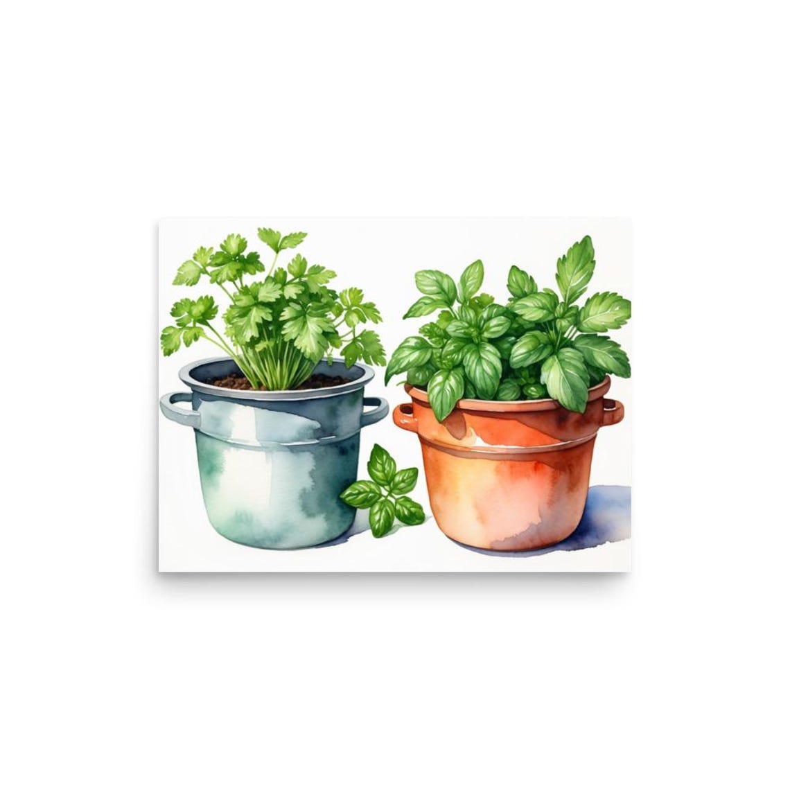 Fresh Basil and Parsley Potted Herbs Watercolor Kitchen Poster - Image 4