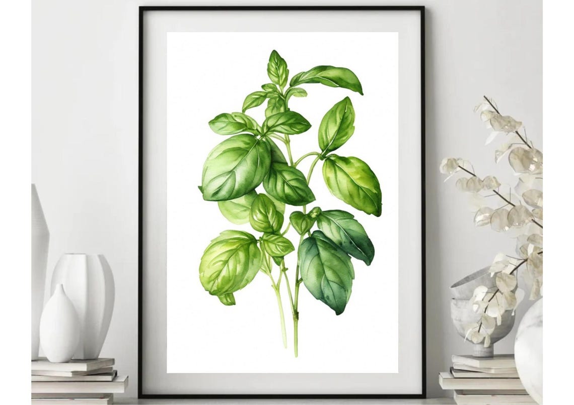 Fresh Basil Sprigs Botanical Watercolor Kitchen Herb Wall Poster - Image 2