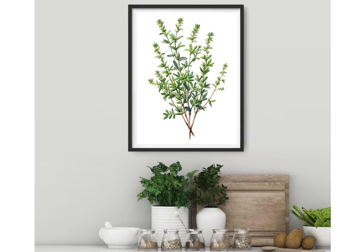 Thyme Sprigs With Tiny Leaves Botanical Watercolor Kitchen Herb Poster - Image 3