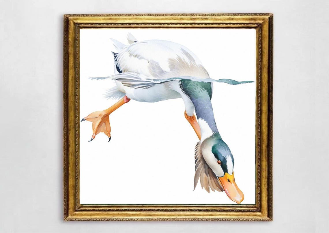 Whimsical White Duck Diving Headfirst Watercolor Bird Poster - Image 3