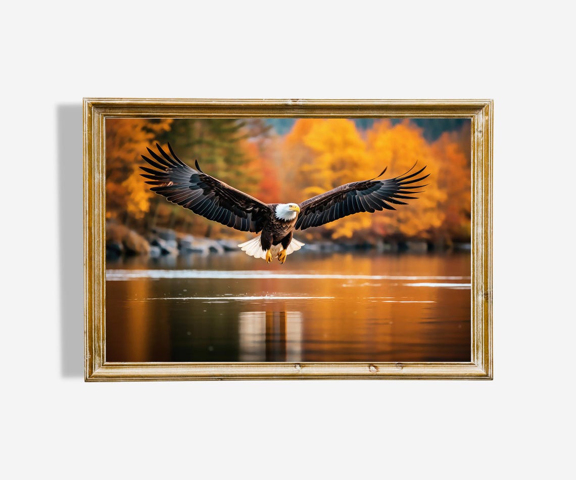 Bald Eagle Soaring Over Autumn Lake Fall Foliage Wildlife Poster