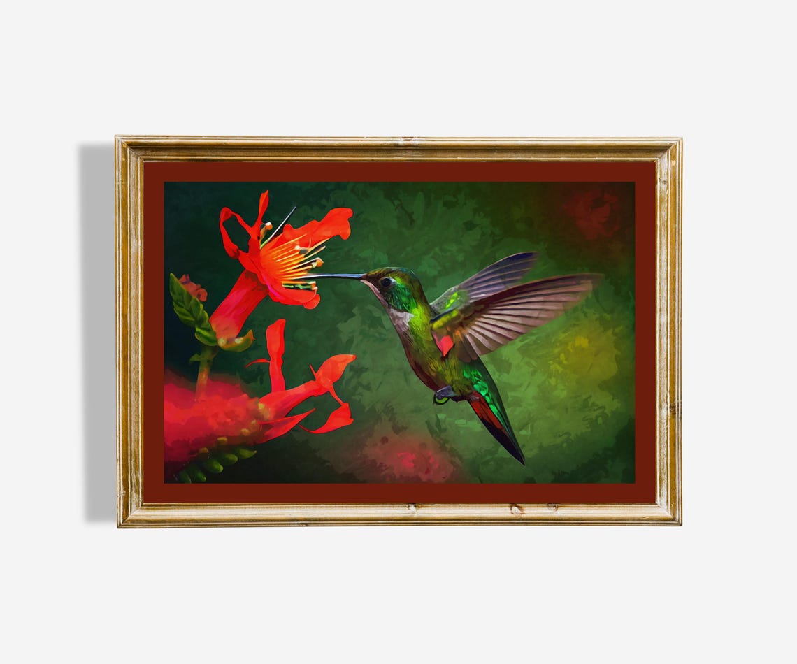 Emerald Hummingbird Red Trumpet Flowers Dark Green Bird Art Poster
