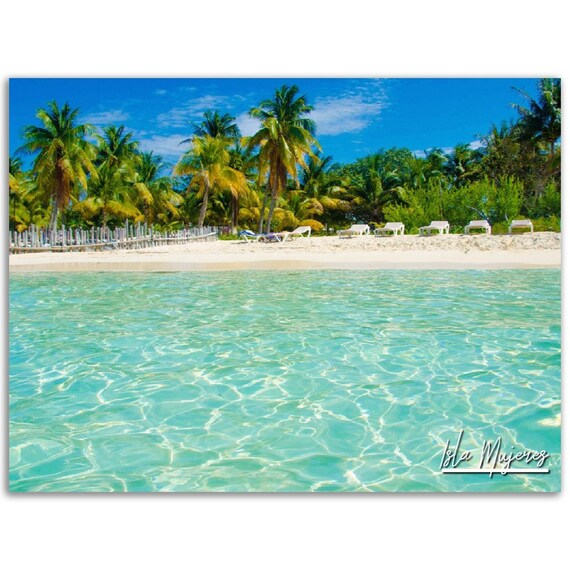 Isla Mujeres Mexico Turquoise Beach Palm Trees Tropical Poster