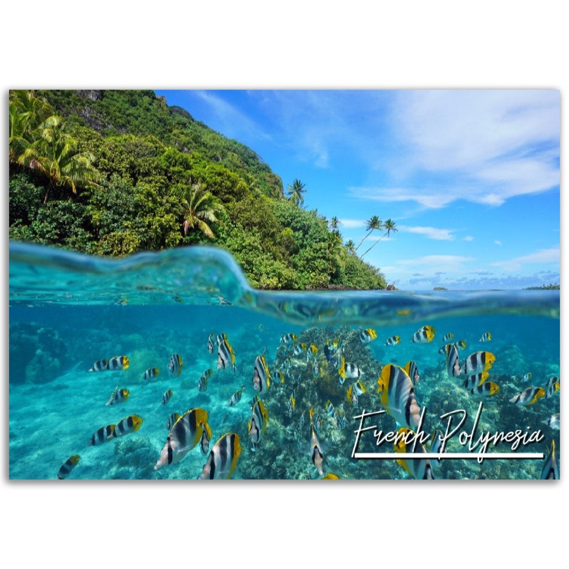 French Polynesia Underwater Island Fish Tropical Travel Poster