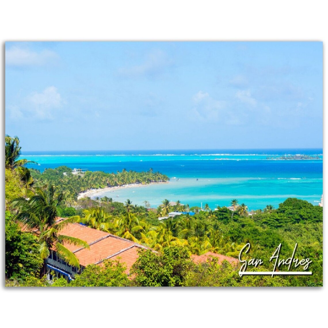San Andres Colombia Turquoise Sea Palm Island Beach Travel Poster