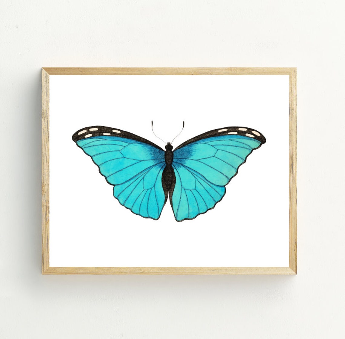 Teal Blue Butterfly Watercolor Entomology Insect Nature Wall Art Print - Image 2