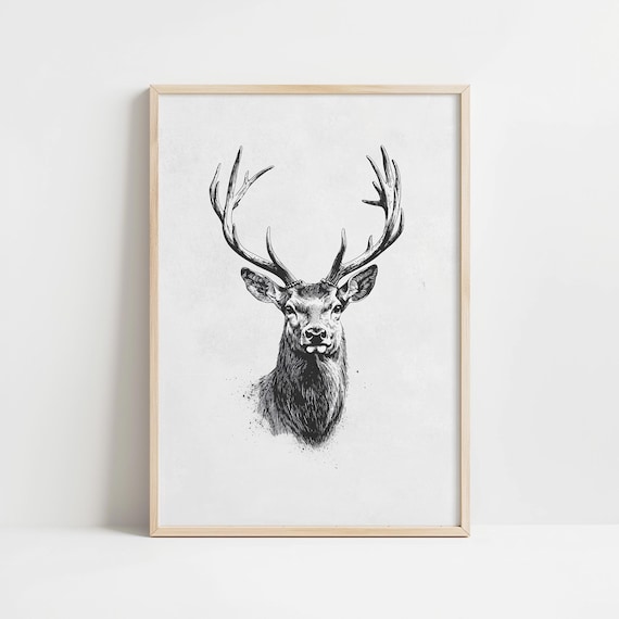 Vintage Stag Head Sketch Antler Ink Drawing Rustic Art Poster