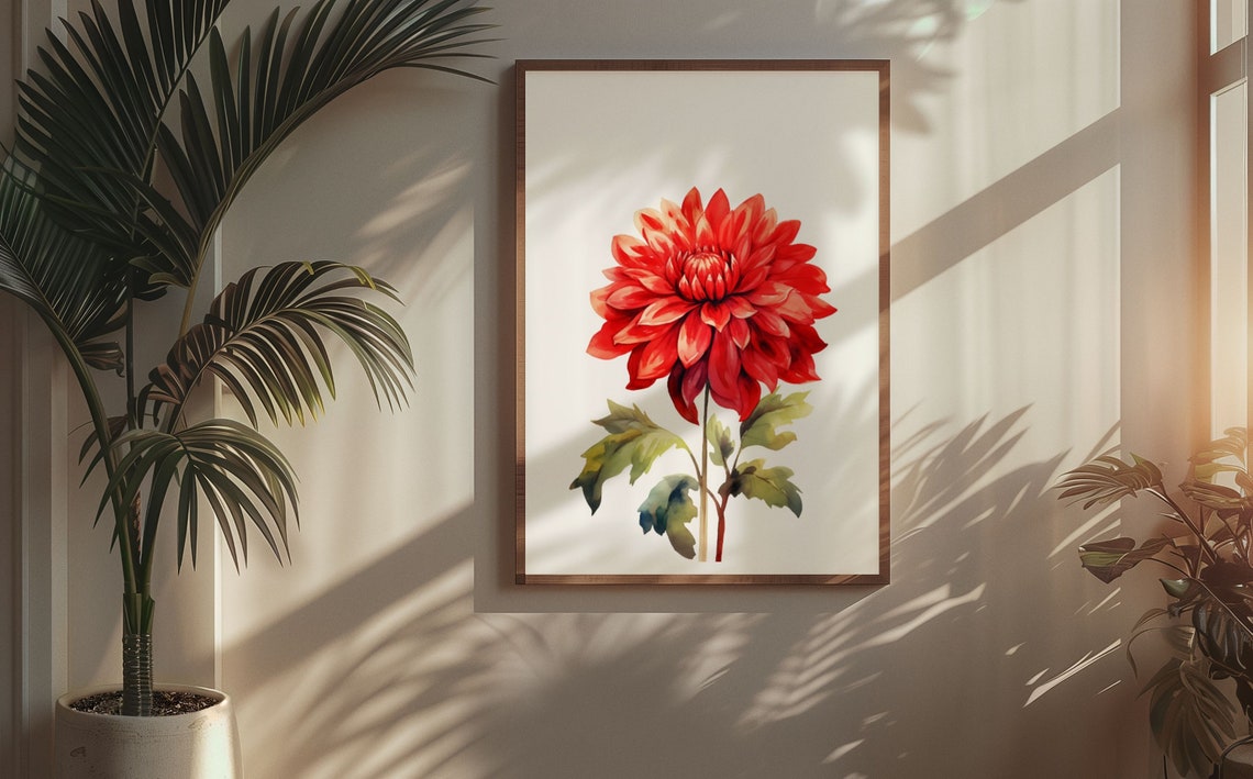 Deep Red Dahlia Single Bloom Watercolour Botanical Art Poster - Image 5