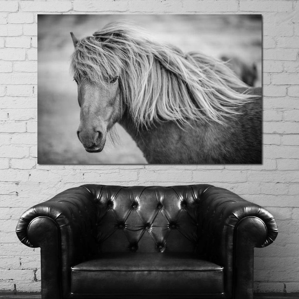Icelandic Horse Black White Portrait Flowing Mane Equine Photo Poster - Image 4