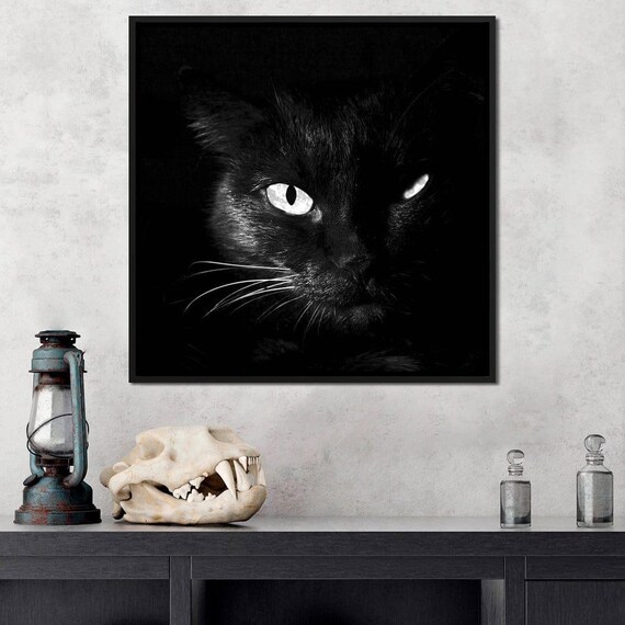 Black And White Cat, Minimalist Art Print