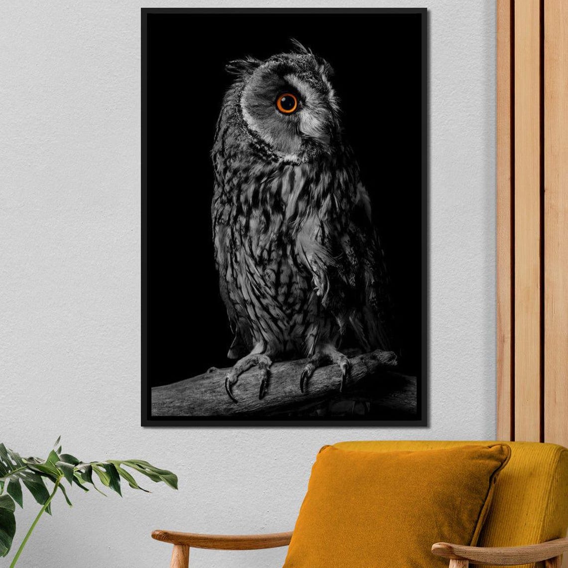 Black White Owl Orange Eye Perched Branch Wildlife Photography Poster