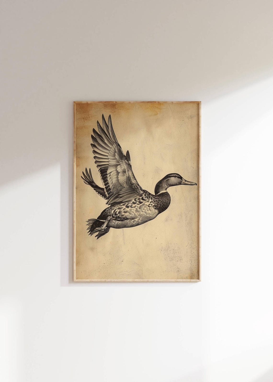 Flying Duck Vintage Engraving Sepia Wildlife Hunting Sketch Art Print - Image 2