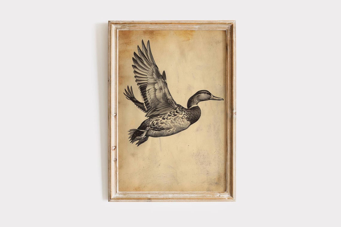 Flying Duck Vintage Engraving Sepia Wildlife Hunting Sketch Art Print
