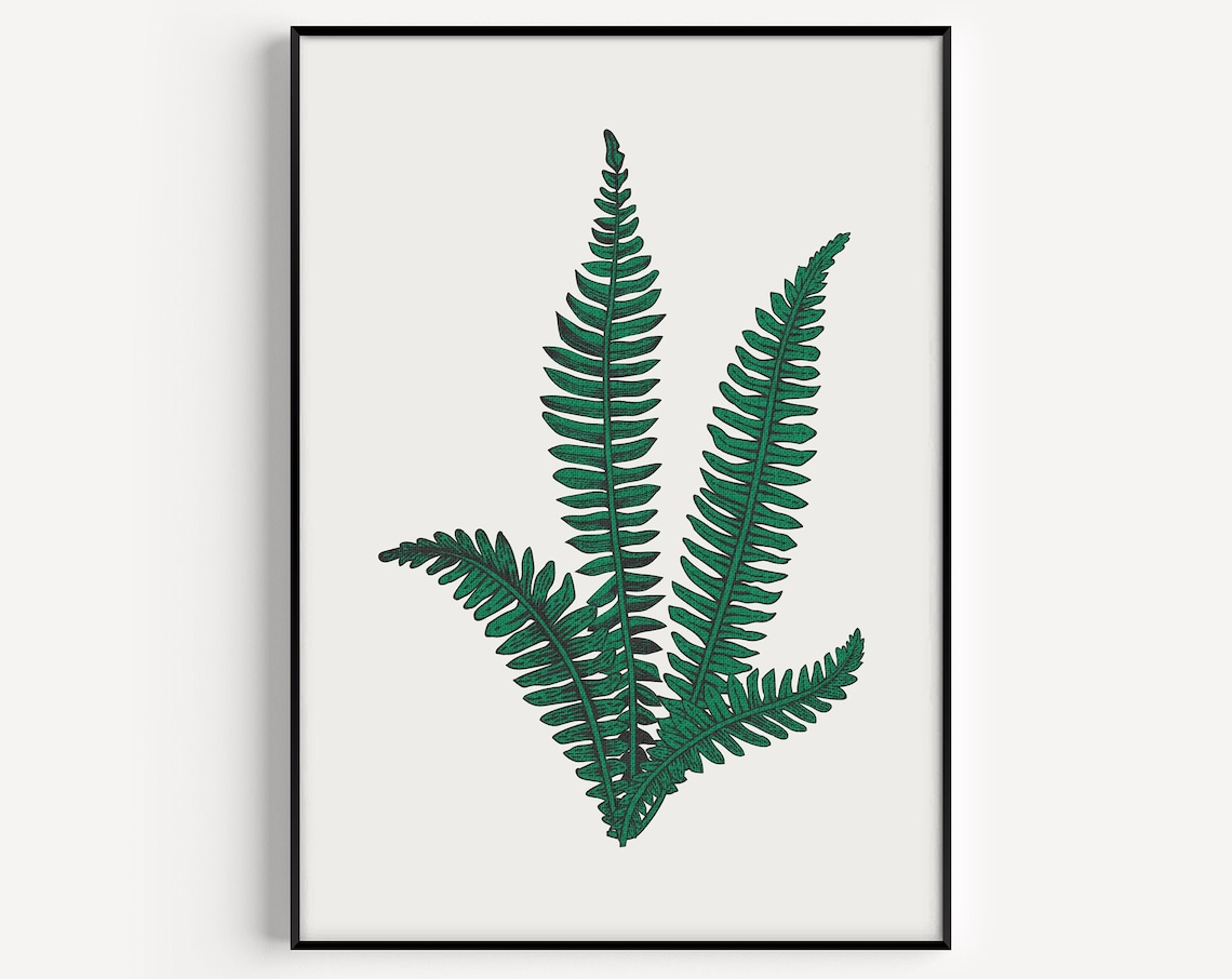 Green Fern Botanical Frond Detailed Minimalist Plant Study Print