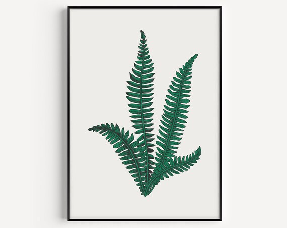 Green Fern Botanical Frond Detailed Minimalist Plant Study Print