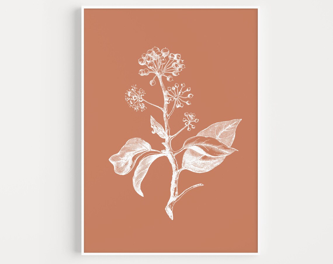 Botanical Wall Art Flower Print Prints Modern Minimalist