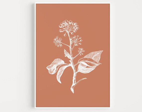 White Botanical Branch Terracotta Vintage Minimal Floral Art Print