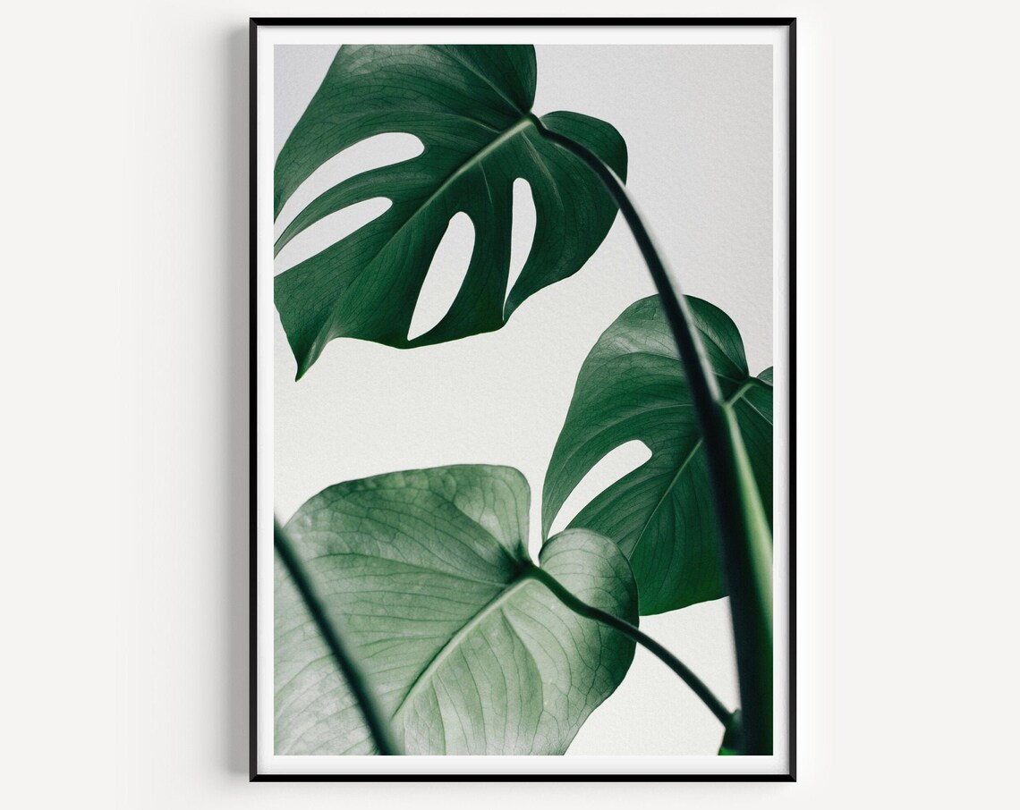 Monstera Print, Scandinavian Minimalist Art Print