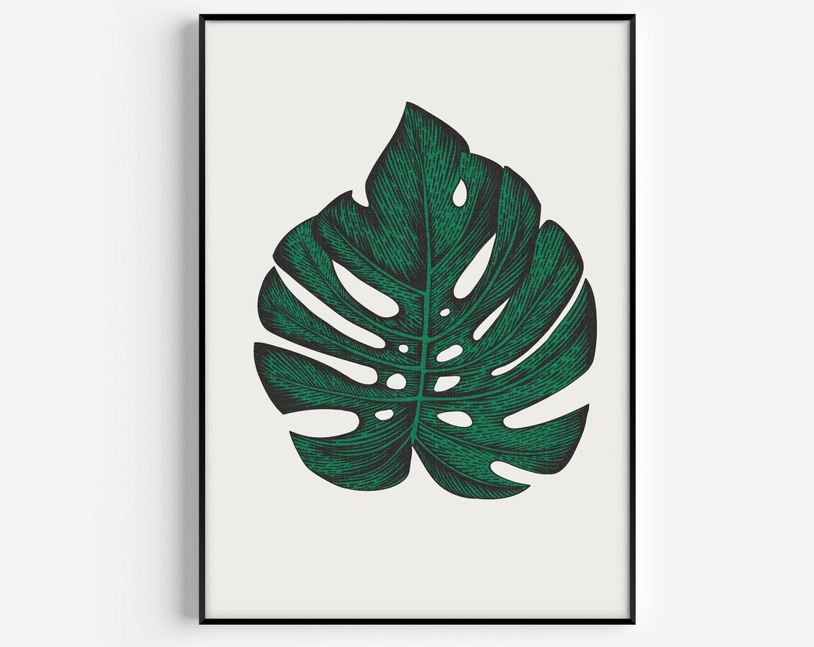 Monstera Leaf Green Botanical Engraving Style Minimalist Plant Poster