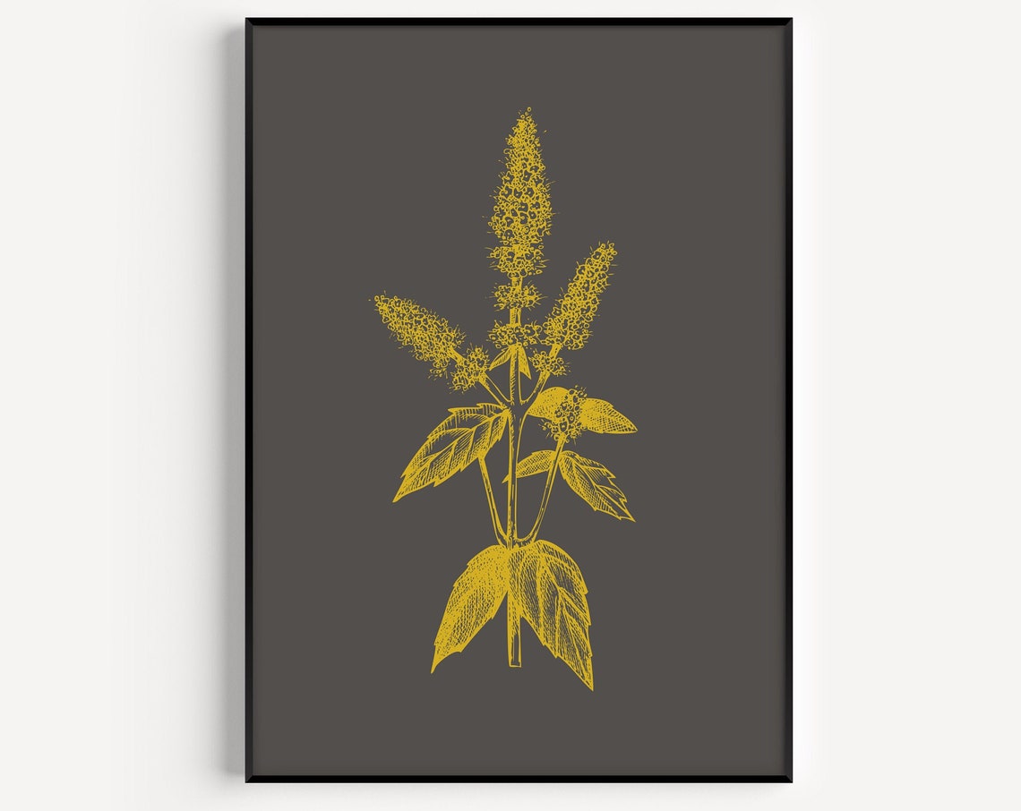 Golden Botanical Flower Sketch Minimalist Dark Art Wall Poster