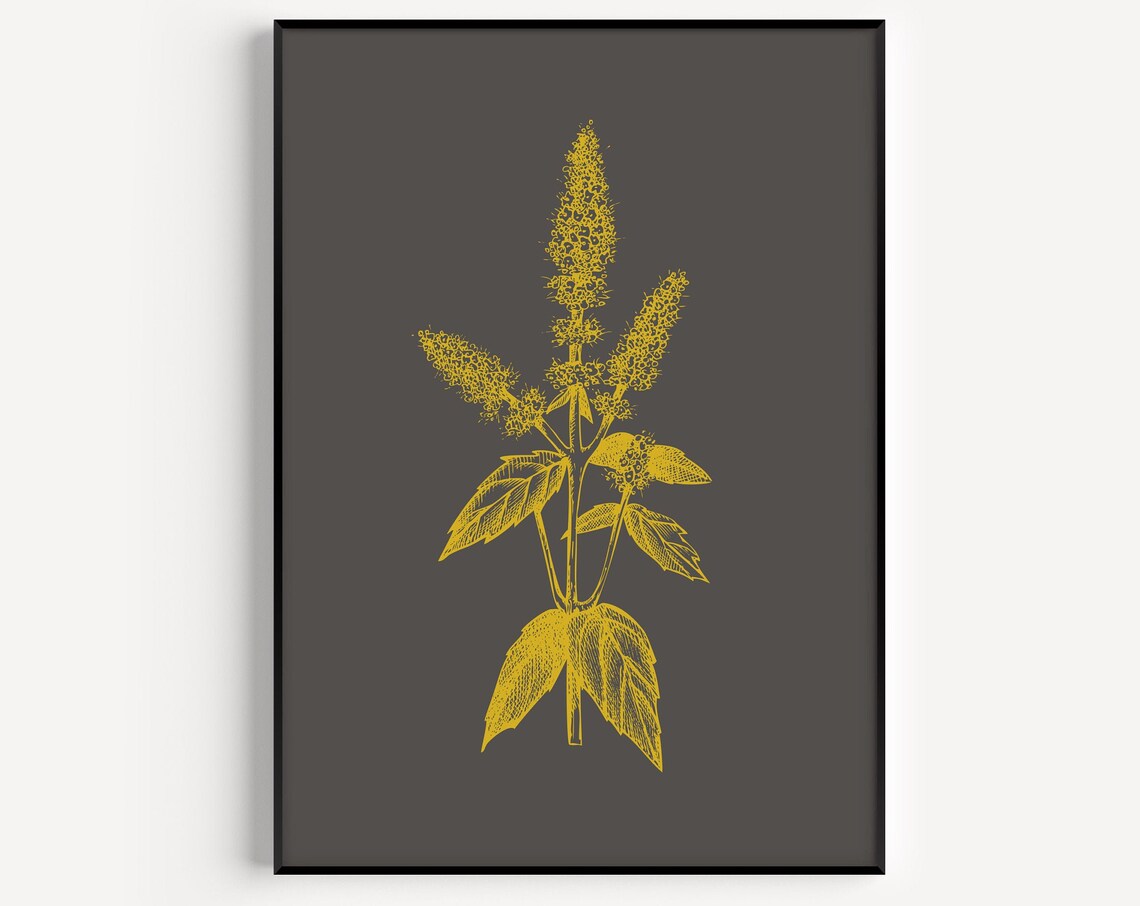Wall Art Botanical Fine Print Prints Poster Minimalist
