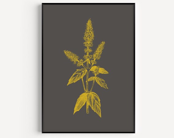 Golden Botanical Flower Sketch Minimalist Dark Art Wall Poster