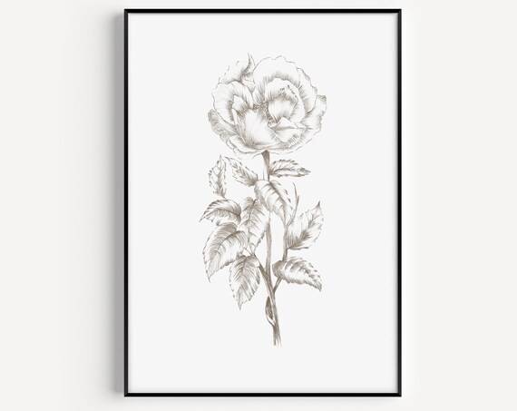 Botanical Print Wall Art Flower Black White Minimalist Gift For Her