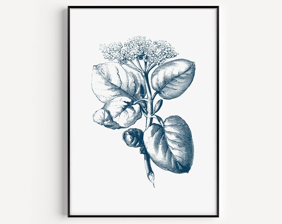 Botanical Print Wall Art Flower Prints Modern Minimalist