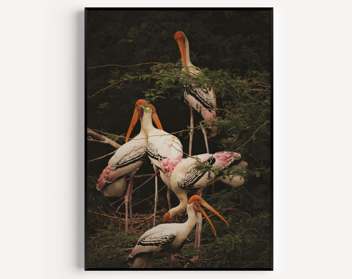 Maximalist Stork Art Print