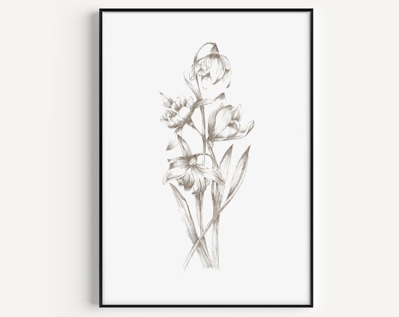 Daffodil Botanical Pencil Sketch White Minimalist Flower Poster