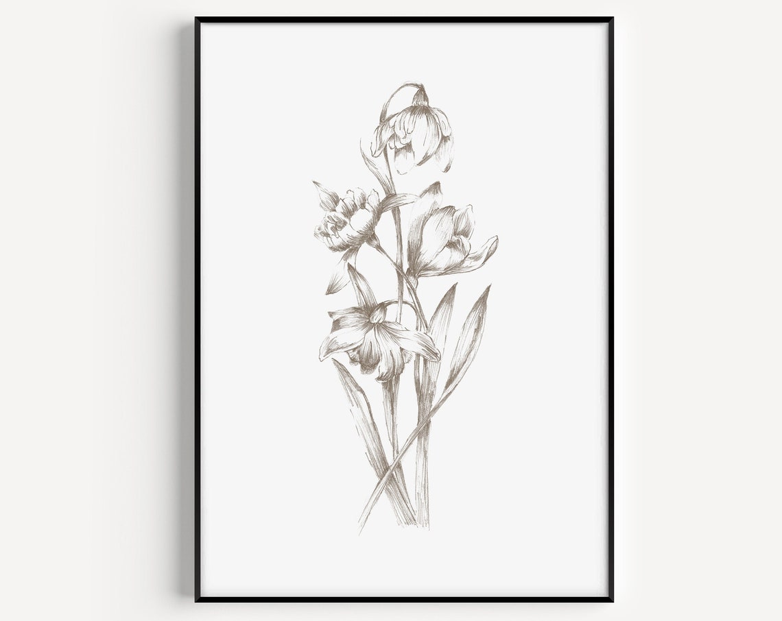 Daffodil Botanical Pencil Sketch White Minimalist Flower Poster